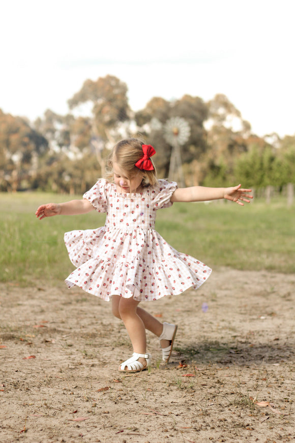 Gingham Ladybird Dress